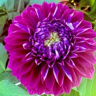 Bloomquist Port